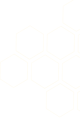 Sitebee Pattern